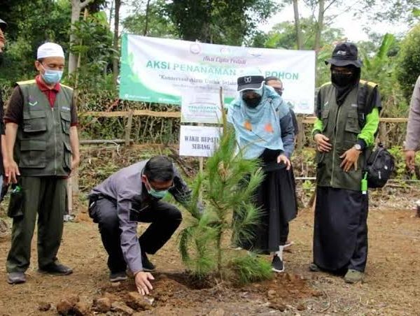 Aksi Penanaman 1100 Pohon di Bukit Jamali